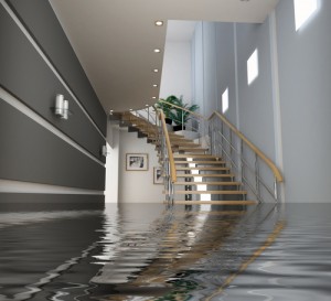 prevent lower level water damage to home