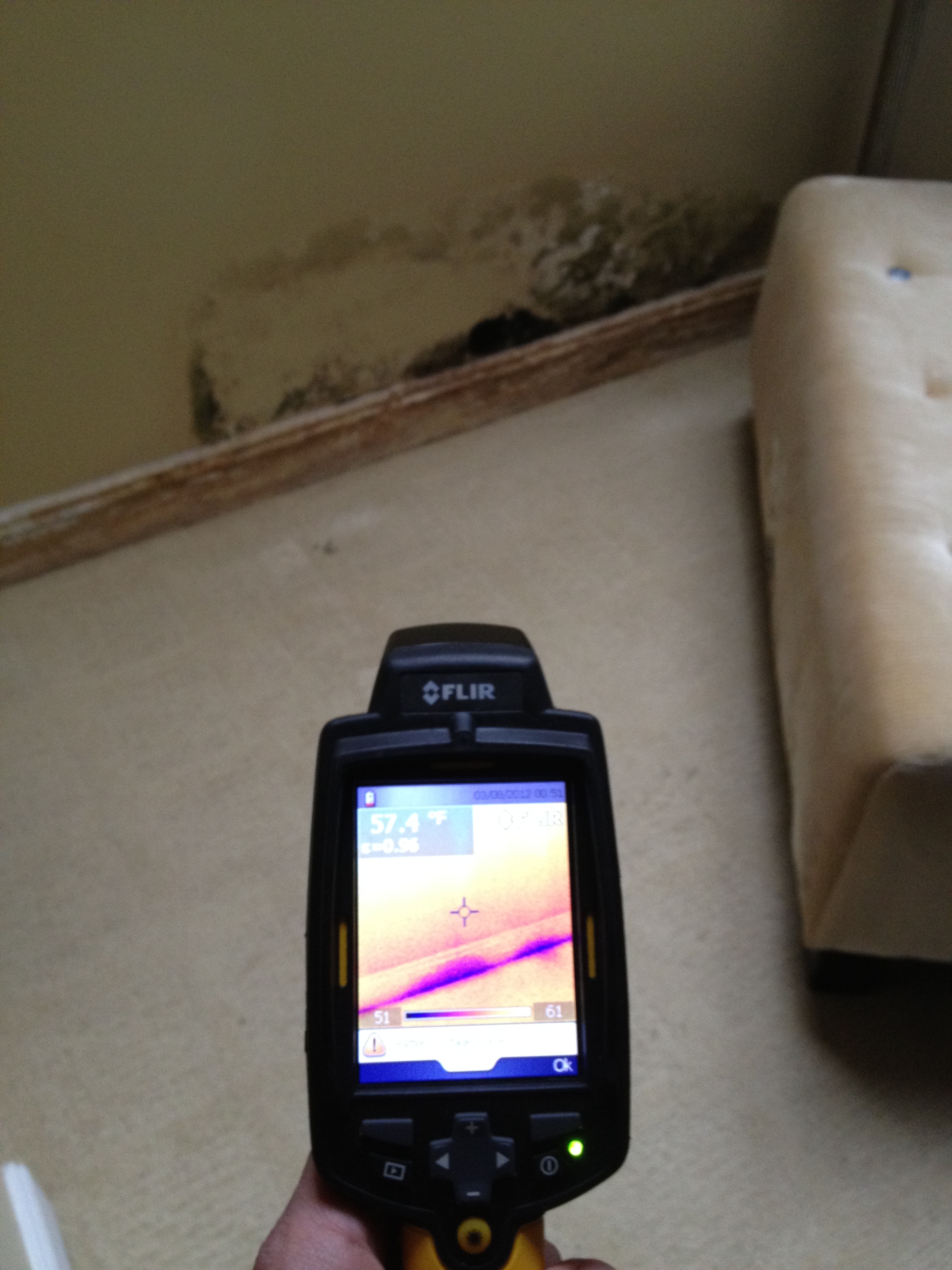 using thermal imager detect mold