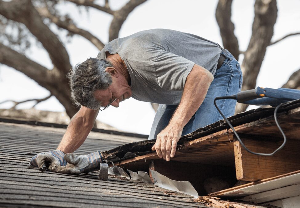 Tips on inspecting your roof for a leak 