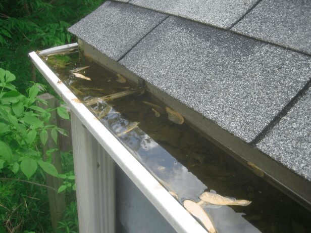 Clogged gutter filled with standing water and debris, illustrating the importance of regular gutter maintenance to prevent roof and home damage.