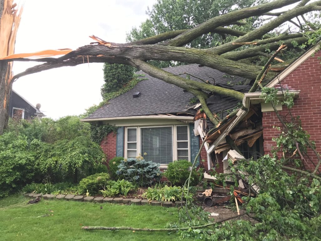 storm damaged roof from falling tree